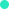 Home Version Two 11 dot6
