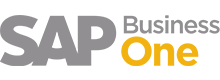 Home Version Two 38 Sap Businnes One